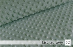 52. Liść laurowy