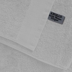 APOLLO SILVER
