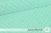 25. Jasny morski