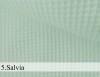 5. Salvia