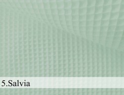 5. Salvia