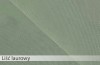 35. Liść laurowy