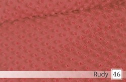 46. Rudy