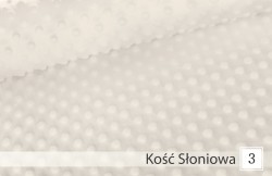 3. Kość słoniowa