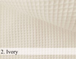 2. Ivory