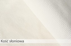 2. Kość słoniowa 